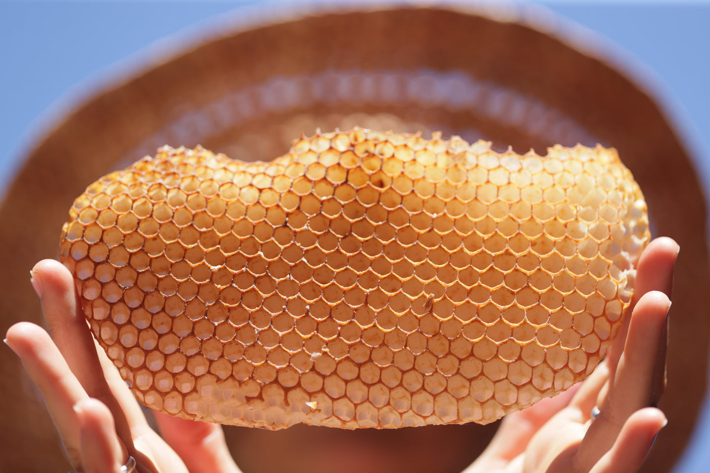 Clay & Comb Phytonutrient Superfood Masque