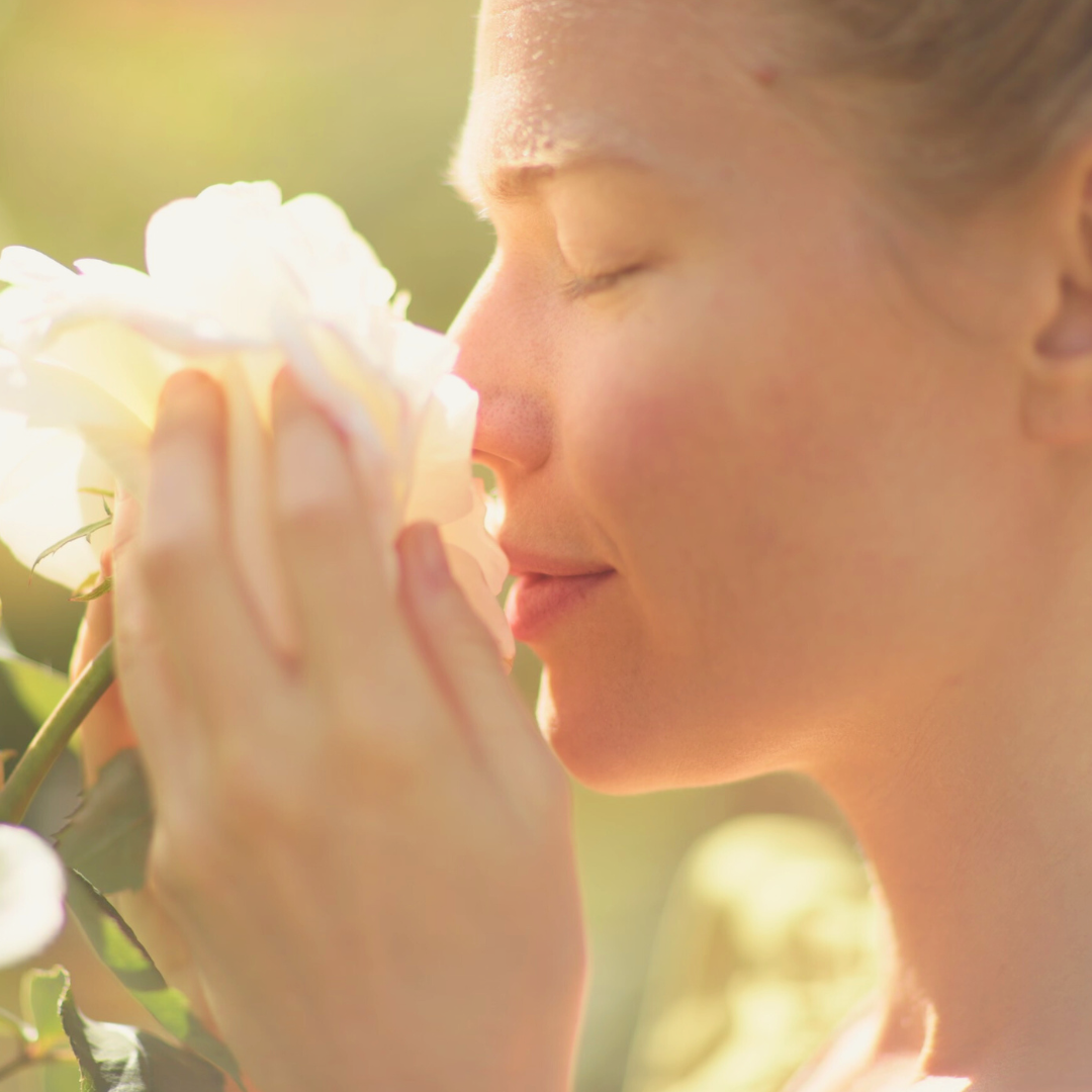 Rosehip Dew Radiance Serum